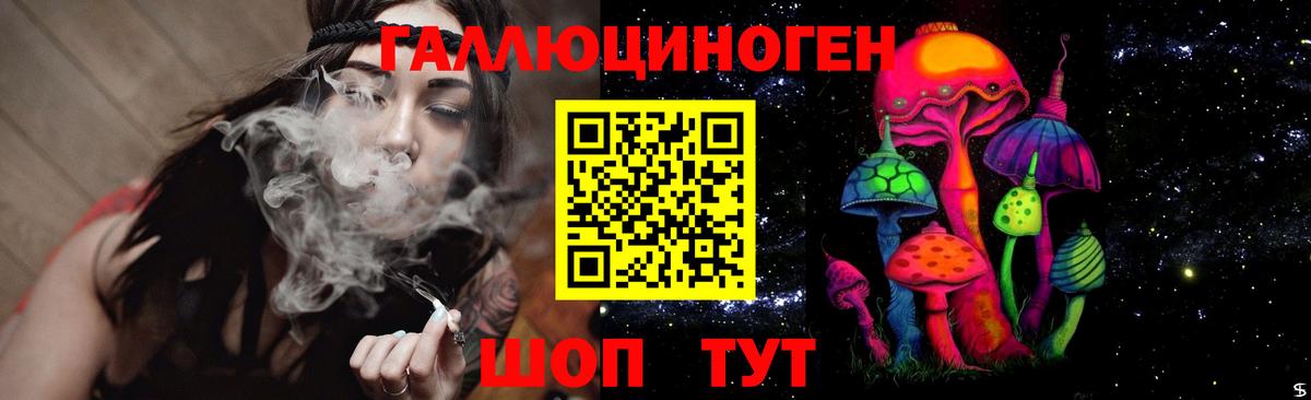 Губкинский  Галлюциногенные грибы GOLDEN TEACHER  Вход с VPN 